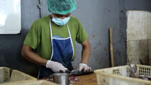 mencari tempat jual ikan giling terdekat