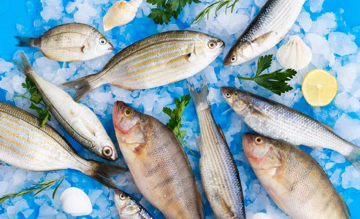 img-ikan-segar