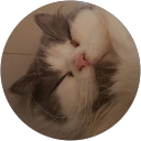 Salma S. profile picture