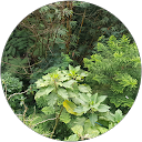 Leni Marliana H. profile picture