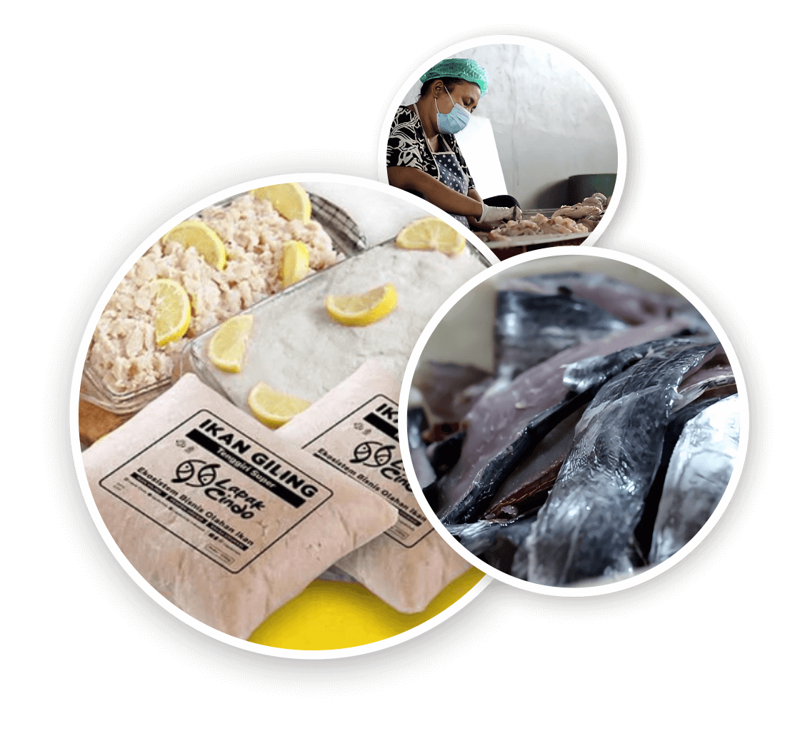 supplier ikan tenggiri terbaik di indonesia lapakcindo