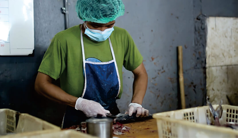 proses pemotongan dan pengolahan supplier ikan tenggiri profesional