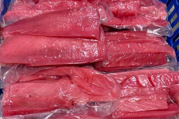 supplier ikan tuna fillet premium segar jabodetabek