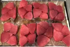 supplier ikan tuna steak fresh premium