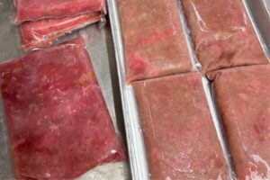 supplier ikan tuna trimming kualitas premium halal