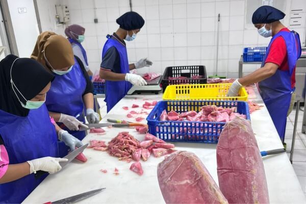 pabrik pengolahan ikan tuna higienis lapak cindo