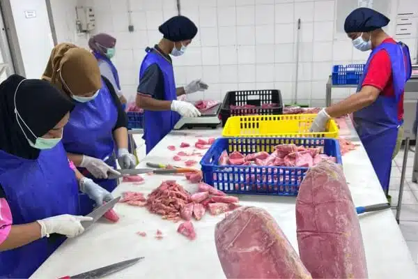 pabrik pengolahan ikan tuna higienis lapak cindo