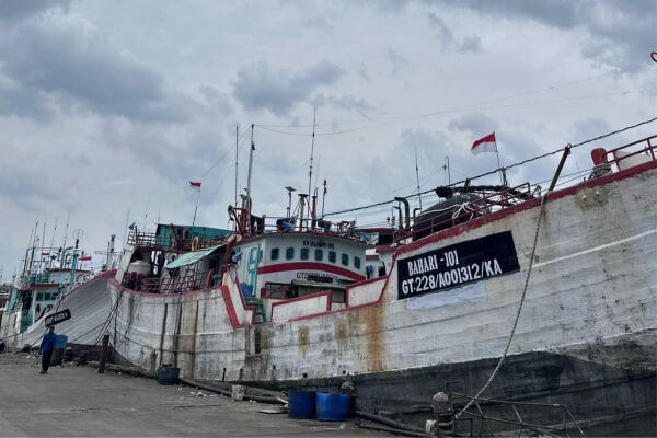 mitra nelayan supplier ikan tuna lapak cindo