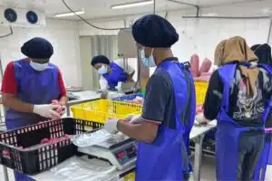 pemberdayaan pekerja supplier tuna restoran lapak cindo
