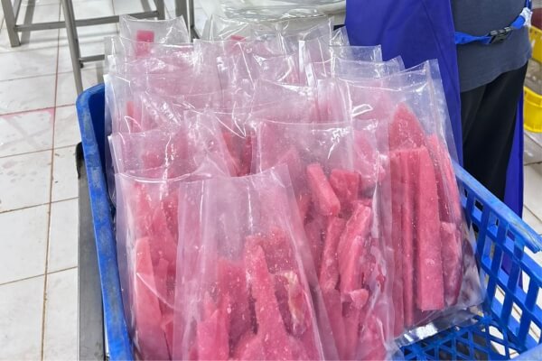 pengemasan vacuum frozen untuk menjaga kesegaran produk supplier ikan tuna