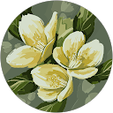 Yuyu L. profile picture