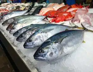 tuna segar dengan kulit lembab