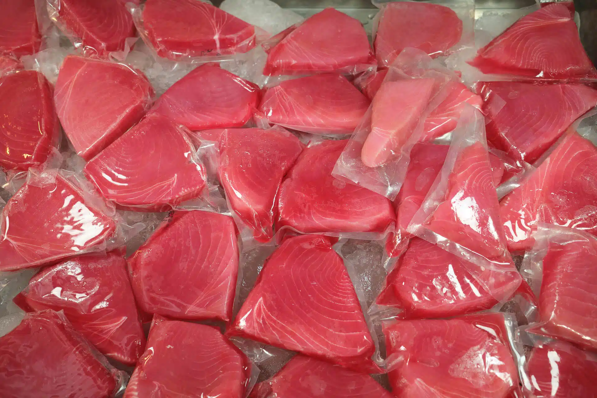 ilsutrasi produk tuna potong segar dari distributor tuna jabodetabek lapak cindo